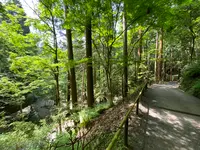 鞍馬寺 本堂の写真・動画_image_365986