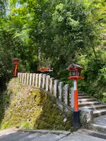 鞍馬寺 本堂の写真・動画_image_365988