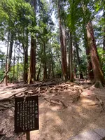 奥の院魔王殿の写真・動画_image_365991