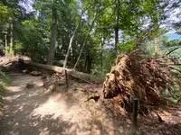 奥の院魔王殿の写真・動画_image_365993