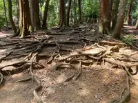 奥の院魔王殿の写真・動画_image_365994