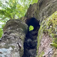 貴船神社の写真・動画_image_366002