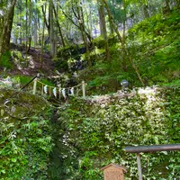 貴船神社の写真・動画_image_366007