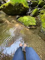 かつらの写真・動画_image_366012