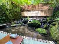 かつらの写真・動画_image_366013