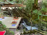 かつらの写真・動画_image_366014
