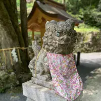 貴船神社 奥宮の写真・動画_image_366016