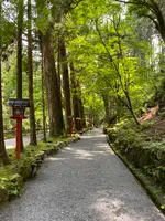 貴船神社 奥宮の写真・動画_image_366019