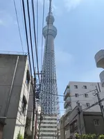 東京スカイツリーの写真・動画_image_366084