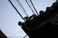 胡堂の写真・動画_image_366223