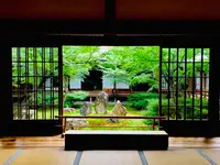 建仁寺の写真・動画_image_366327