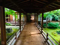 建仁寺の写真・動画_image_366329