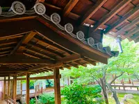 建仁寺の写真・動画_image_366332