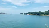 前島フェリーの写真・動画_image_366486