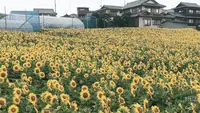 牛窓神社の写真・動画_image_366490
