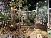 山口県立山口博物館の写真・動画_image_366621
