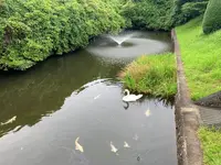 山口県政資料館（旧県会議事堂）の写真・動画_image_366679