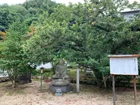 洞春寺の写真・動画_image_366688