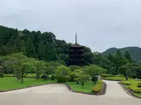 瑠璃光寺の写真・動画_image_366693