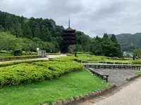 瑠璃光寺の写真・動画_image_366706