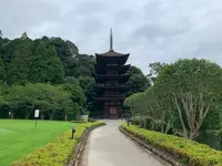 瑠璃光寺五重塔の写真・動画_image_366708