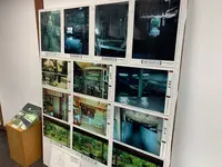 山口市菜香亭の写真・動画_image_366722