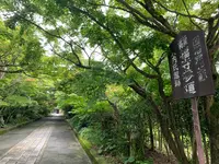 曹洞宗 瑞雲山龍福寺の写真・動画_image_366770