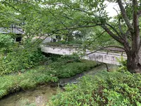 一の坂川の写真・動画_image_366777