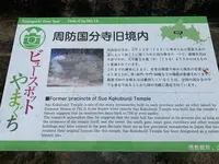 周防国分寺の写真・動画_image_366816