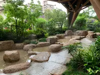 狐の足あとの写真・動画_image_366885