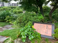 井上公園の写真・動画_image_366924