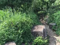 西郷山公園の写真・動画_image_367121