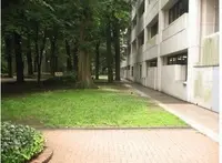 学習院大学の写真・動画_image_367133