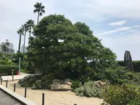 貫一お宮の像（お宮の松）の写真・動画_image_367196