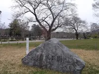 駿府城公園の写真・動画_image_367216