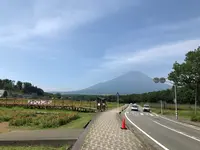 山中湖花の都公園の写真・動画_image_367260