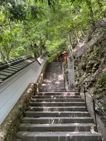 鞍馬寺 本堂の写真・動画_image_367399