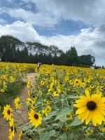 世羅高原農場の写真・動画_image_367546