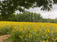 世羅高原農場の写真・動画_image_367551