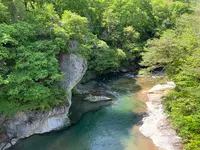 吹割の滝の写真・動画_image_367688