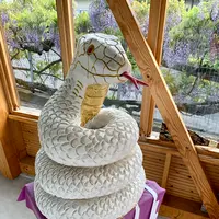 老神温泉 伍楼閣の写真・動画_image_367693