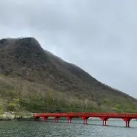 赤城神社の写真・動画_image_367700