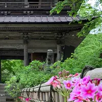 青龍山 吉祥寺の写真・動画_image_367701