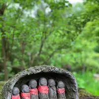 青龍山 吉祥寺の写真・動画_image_367703