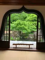 青龍山 吉祥寺の写真・動画_image_367704