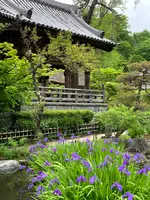 青龍山 吉祥寺の写真・動画_image_367705