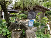 柳と井戸／湘江庵の写真・動画_image_368006