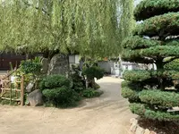 柳と井戸／湘江庵の写真・動画_image_368007