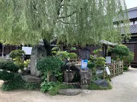 柳と井戸／湘江庵の写真・動画_image_368008