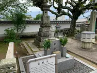 普慶寺の写真・動画_image_368324